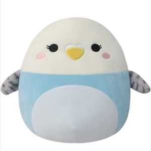 Tycho the Parakeet 🤗